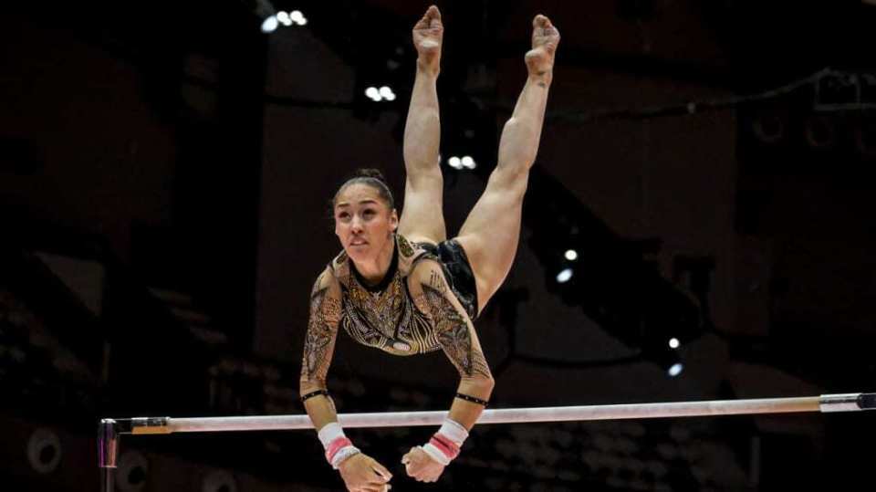 维瑟尔得分 维瑟尔得分